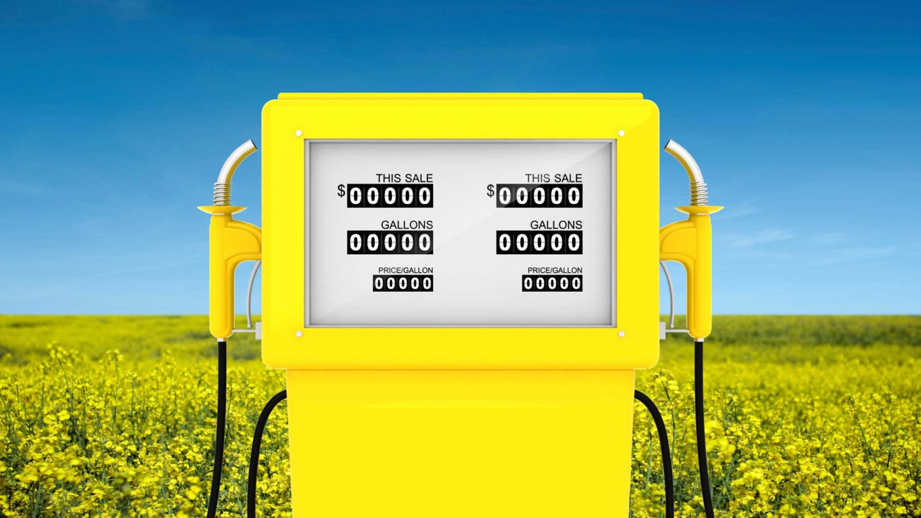 Biodiesel
